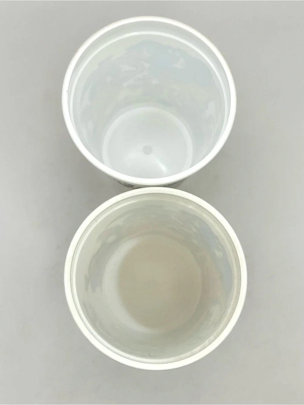 2 Vintage Dorney Park & Wildwater Kingdom Amusement Park  1991 Plastic  Cups
